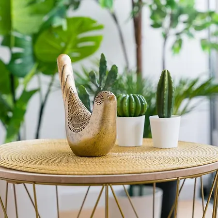 Guestready - Majestic Riverside Terrace In Coimbra